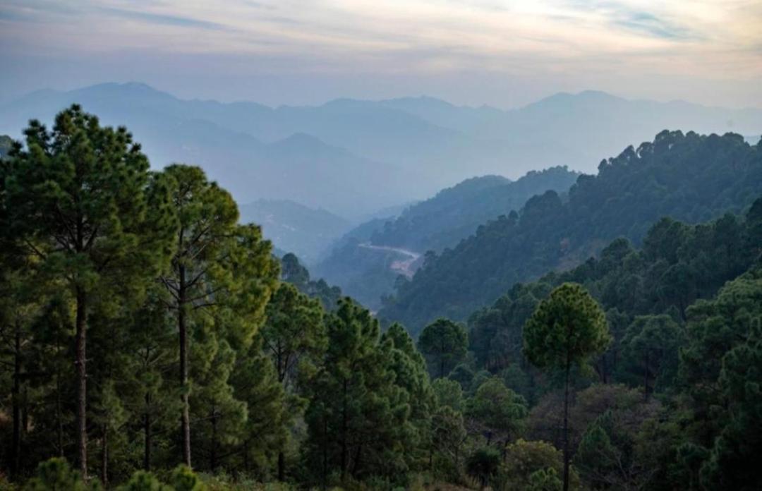 The Kasauli Western Uphills I Serviced Apartments I Pvt Balcony I Peacefull Area I By Exotic Stays Kültér fotó