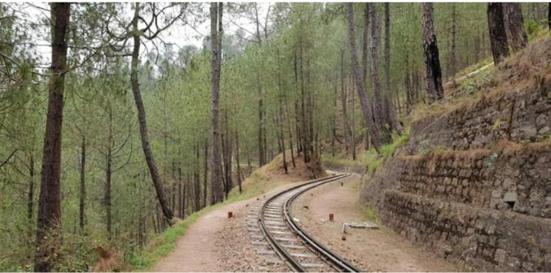 The Kasauli Western Uphills I Serviced Apartments I Pvt Balcony I Peacefull Area I By Exotic Stays Kültér fotó